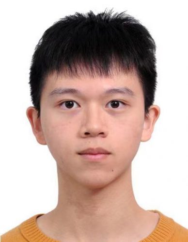 爸爸，老公，强盗-导演