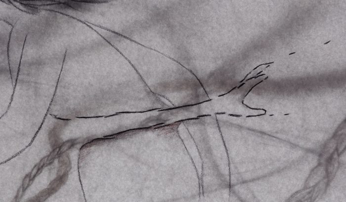 Braided_Still_9