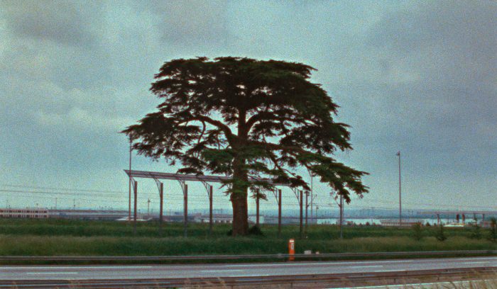 ©️ 1982 Wim Wenders Produktion, Chris Sievernich Filmproduktion Courtesy of Wim Wenders Stiftung