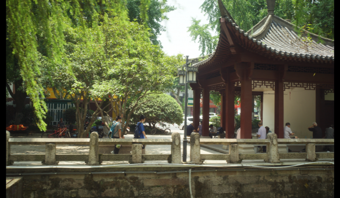 呼朋引伴(4)