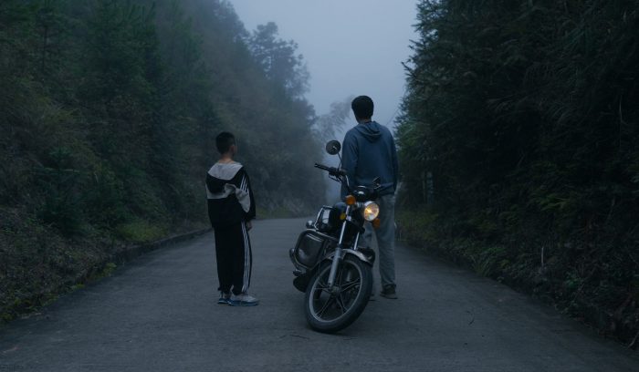 老虎的斑纹