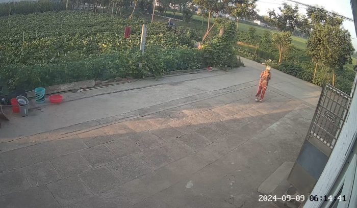 阿珍剧照2