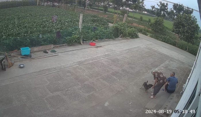 阿珍剧照3