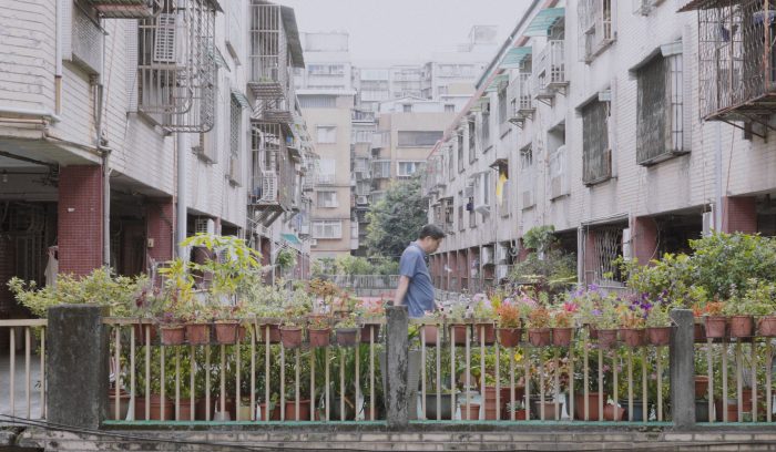 今天我去动物园剧照2