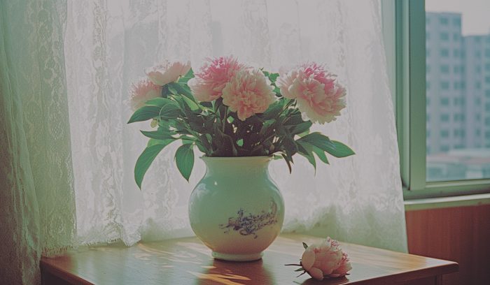 A close-up, hyper-realistic still life scene set in 1990s China a pure white ceramic vase filled with blooming peony flowers on a wooden table, one peony has fallen gently onto the tabletop, soft golden sunlight streaming through delicate white lace curtains in the background, vintage Chinese apartment, dust particles glowing in the warm light, photographed on 35mm film, Kodak Portra 400, grainy texture, muted pastel tones, nostalgic, serene, and poetic atmosphere --ar 16:9 --sref https://s.mj.run/WutjUqqq9J4 --stylize 350 --v 6.1 Job ID: afc2d3b6-e60c-442f-a5ee-def7dde8ae4d Processed with VSCO with fr4x preset