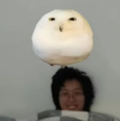 导演照