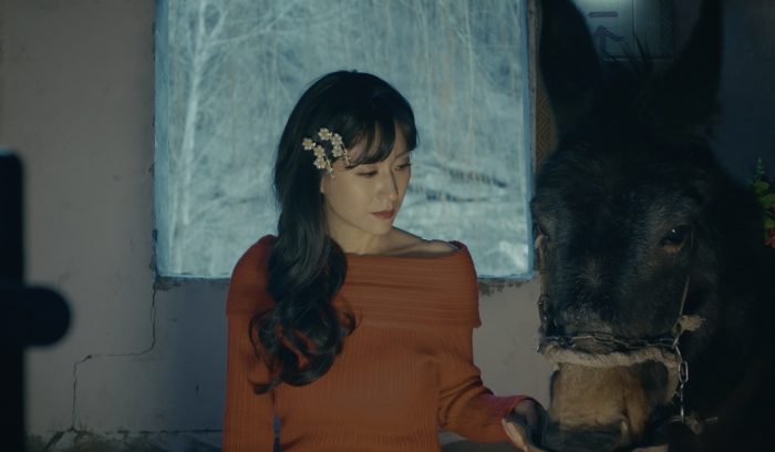有虎出没剧照-1